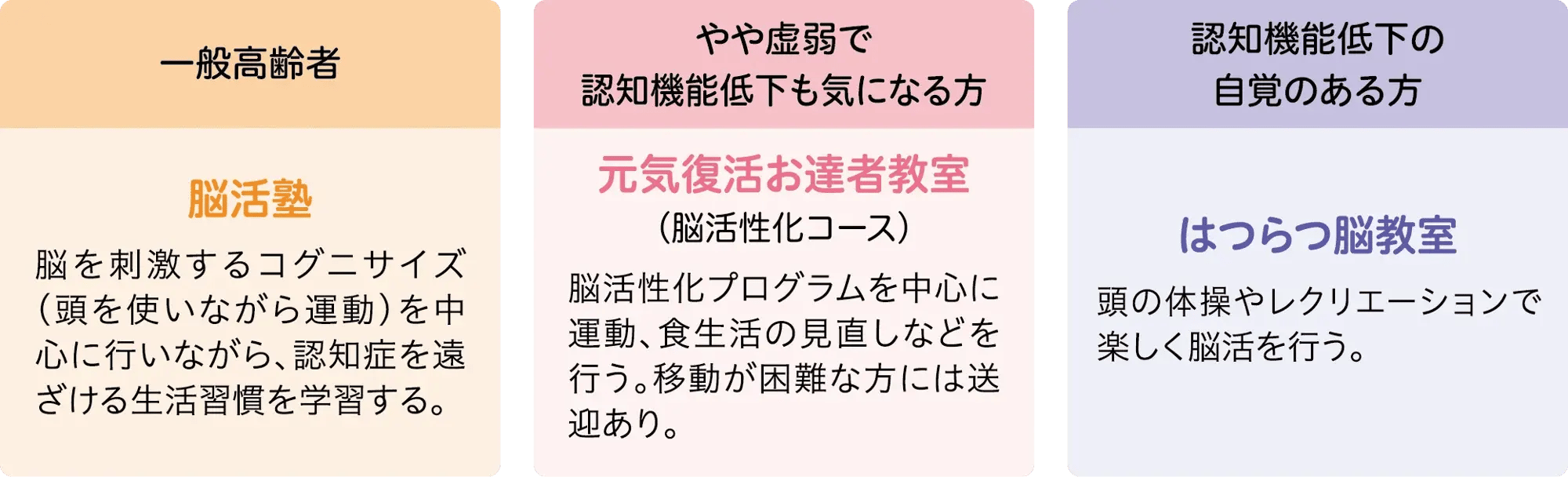 shibukawa_04